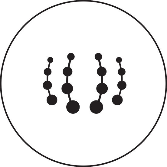 icon2